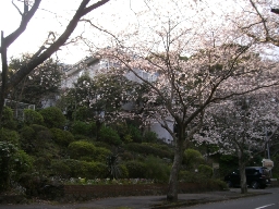 d0111558_15502971.jpg