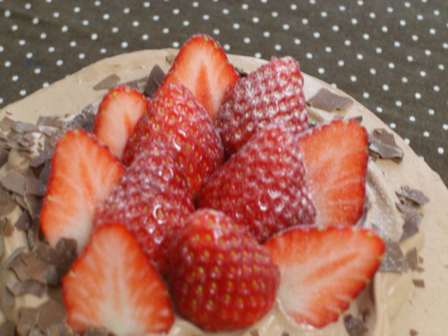 c0169360_3485779.jpg