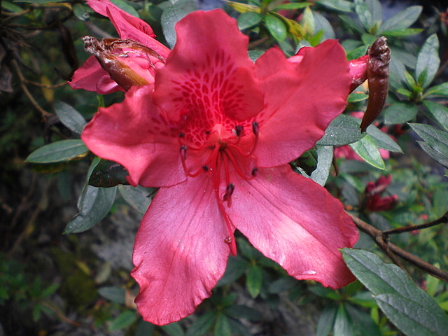 b0149867_16352596.jpg