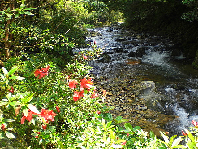b0149867_1635468.jpg
