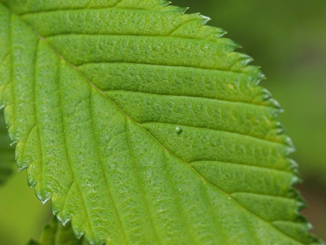 b0135573_8265260.jpg