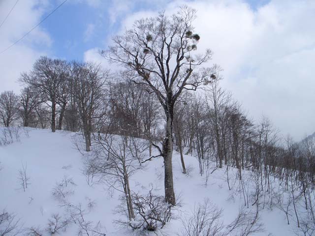 a0115676_20433420.jpg