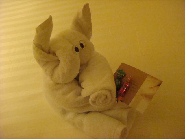 d0100880_04169.jpg
