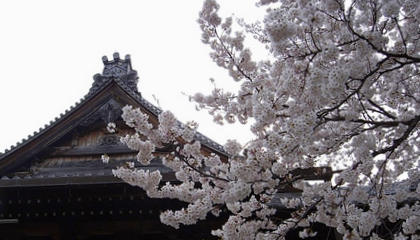 b0029488_074066.jpg