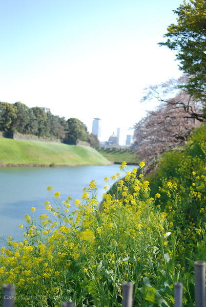 d0114093_21315040.jpg