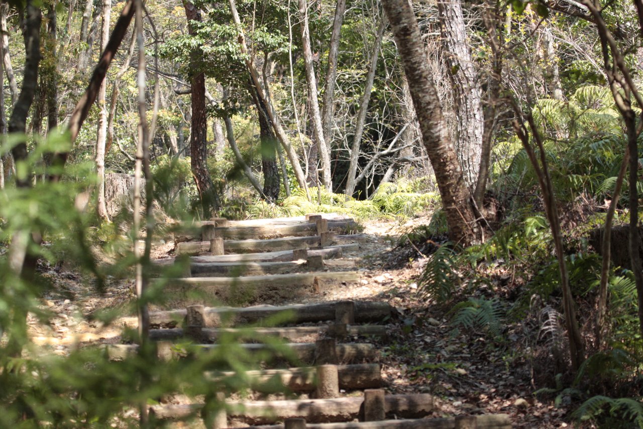 【浜松へ里帰り～森林公園の風景～】_e0167295_948394.jpg