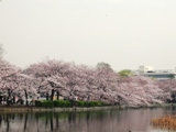 e0145301_9172440.jpg