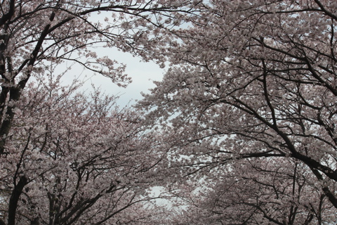 f0052603_2125399.jpg