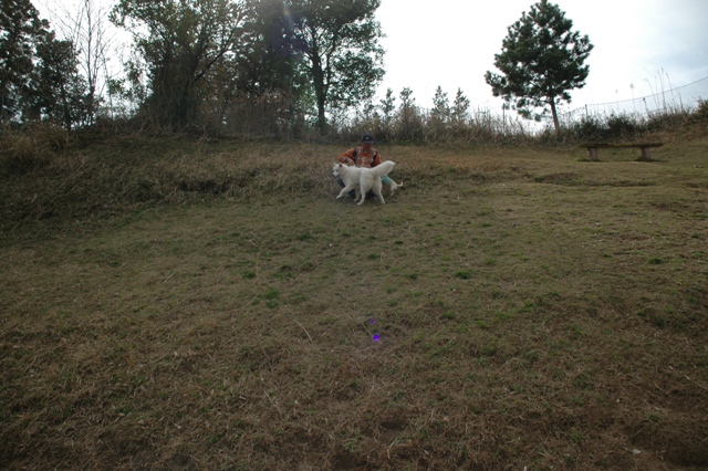e0018604_2045198.jpg