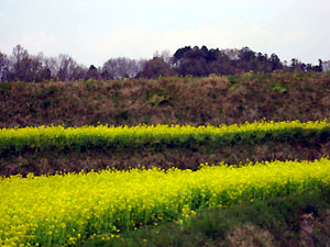 e0118904_23202613.jpg