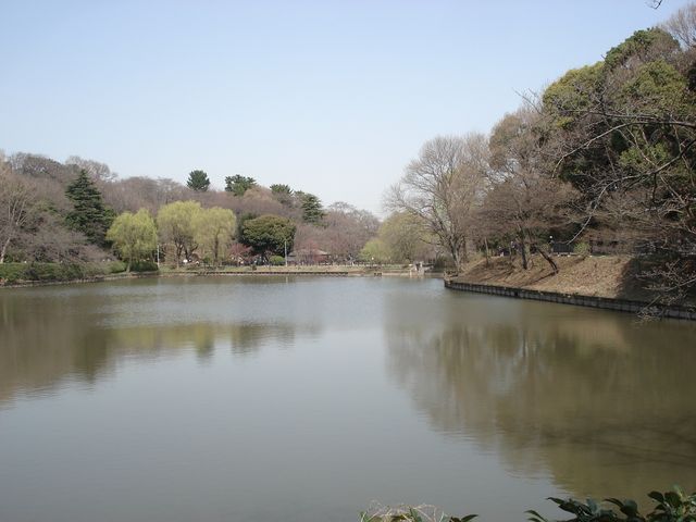 三ツ池公園_b0148106_23135827.jpg