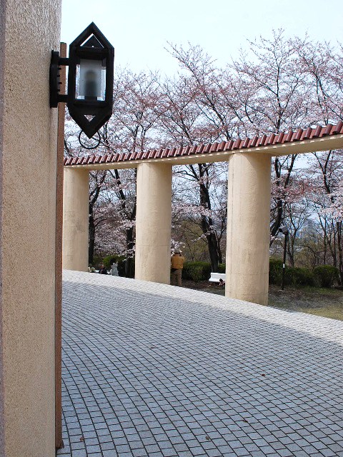 桜咲く旧多摩聖蹟記念館(昭和モダン建築探訪・番外編)_f0142606_3434697.jpg