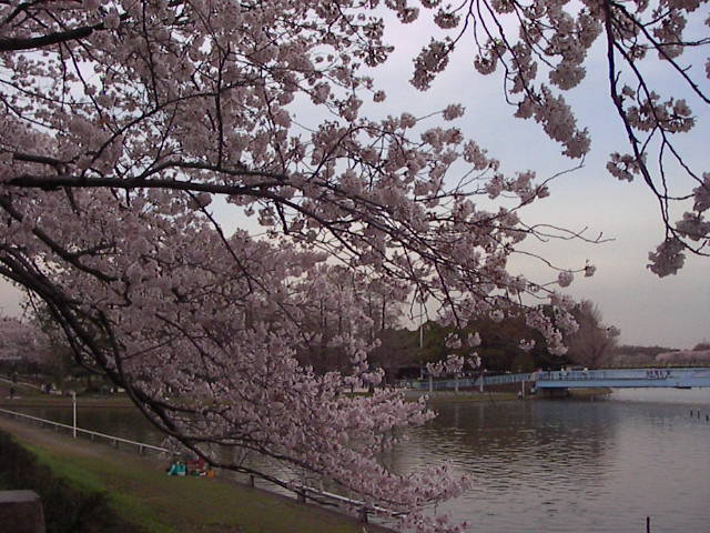f0038407_945281.jpg