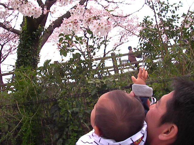 f0038407_973058.jpg