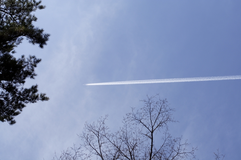 飛行機雲_f0091207_15423196.jpg