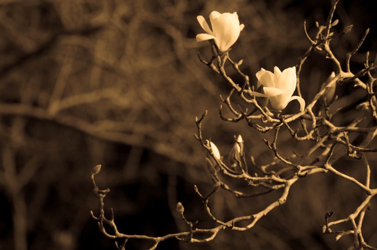 a0099808_271437.jpg