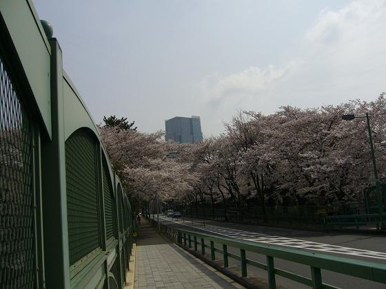 b0112909_1651287.jpg