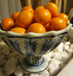 c0008209_23165767.jpg