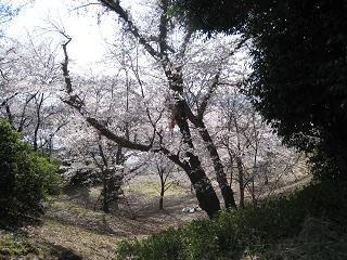 e0120111_19393130.jpg
