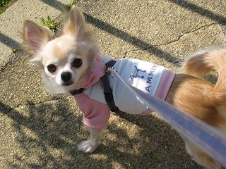 e0120111_19405954.jpg