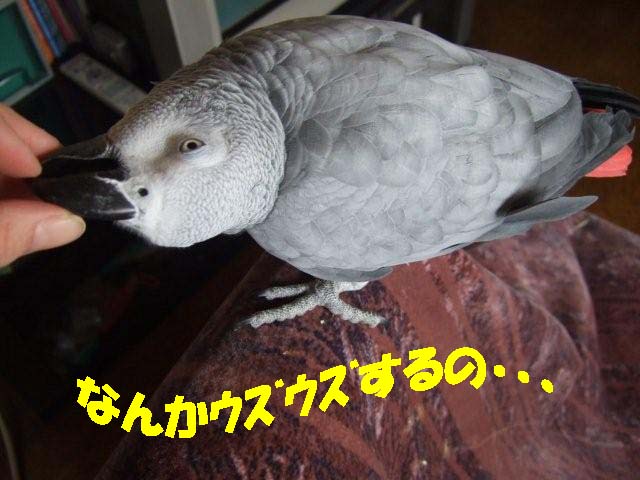 c0133013_21571410.jpg