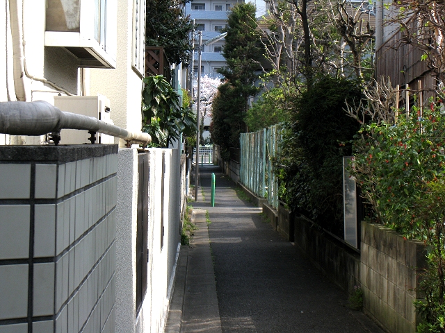 e0031613_18555337.jpg