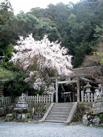 大豊神社_e0048413_20214618.jpg
