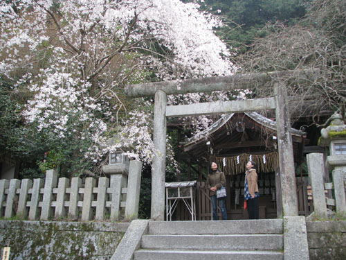 大豊神社_e0048413_20262455.jpg