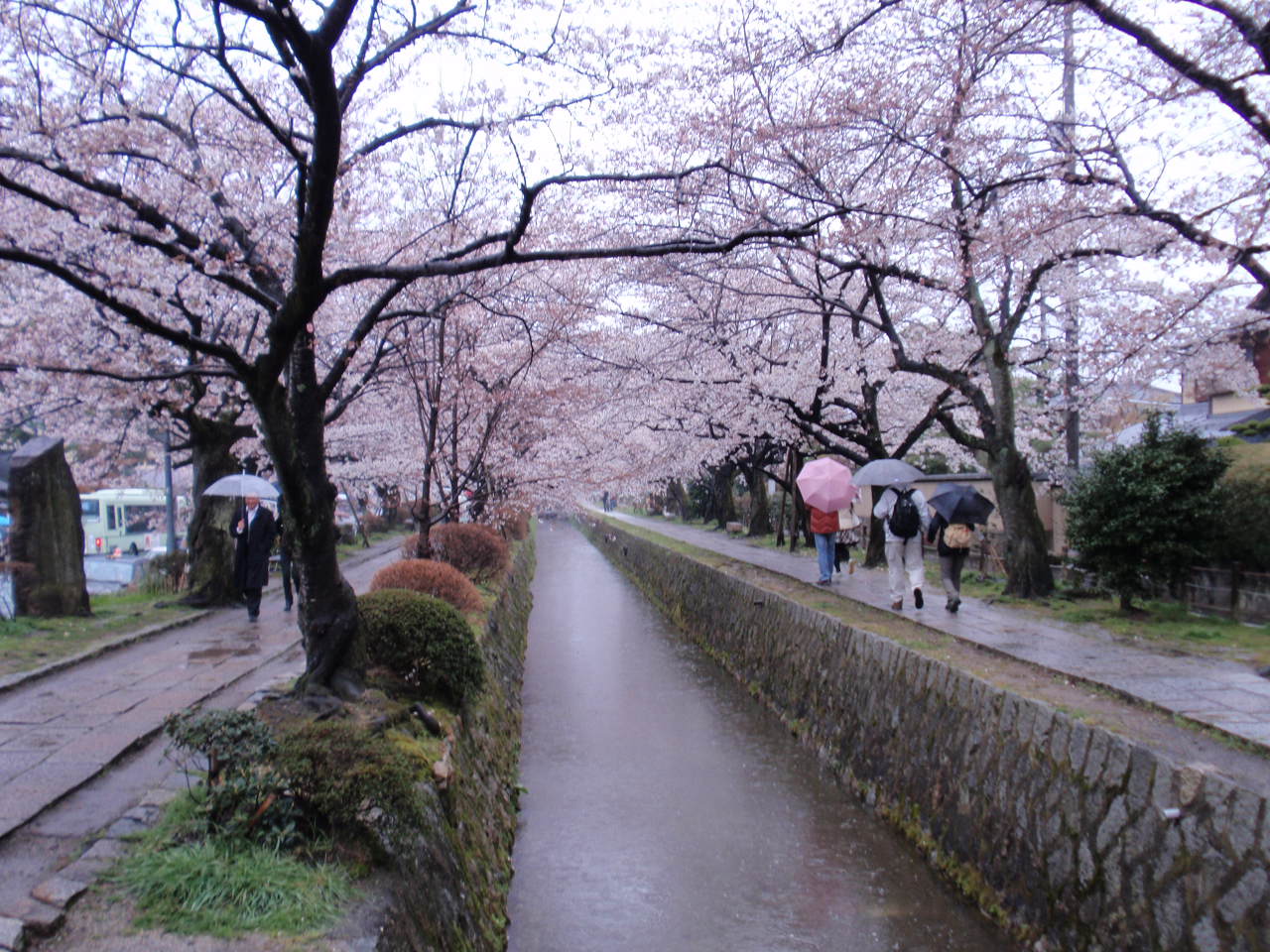 2009.4.5    銀閣寺_b0062214_20523395.jpg