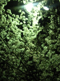 c0164514_22475236.jpg