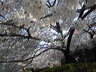 d0018315_11193858.jpg