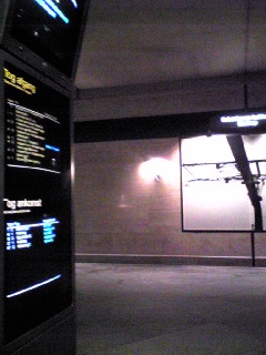 c0140216_5492257.jpg