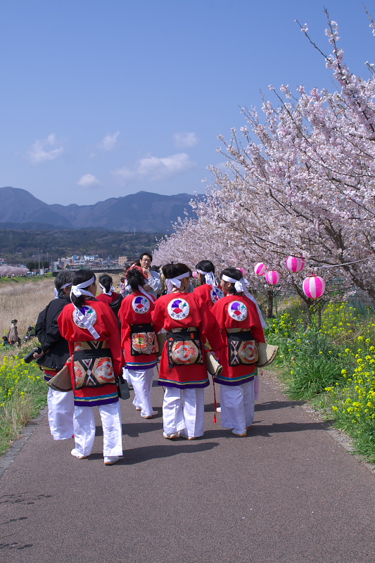 春めき桜 Part.2_c0153616_2142041.jpg