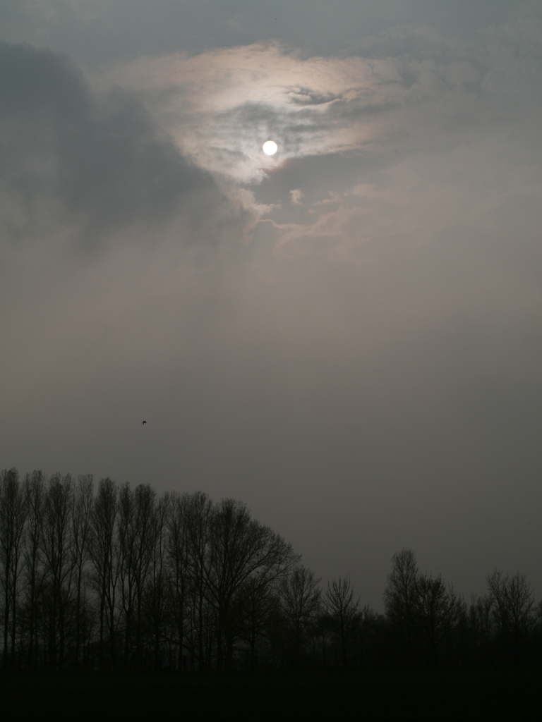 b0148617_261656.jpg