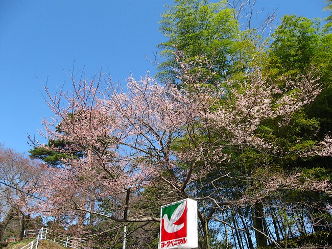 f0143119_1914897.jpg