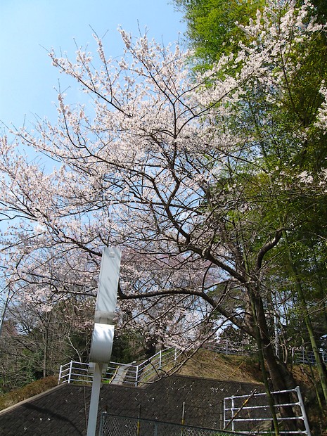 f0143119_1925146.jpg