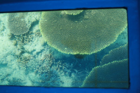 f0097620_01507.jpg