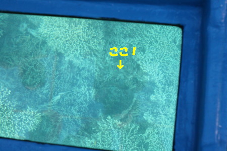 f0097620_073426.jpg