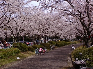 b0155724_21524073.jpg