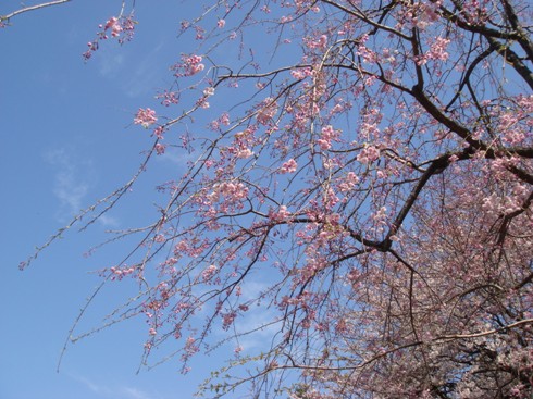 c0190424_20164362.jpg