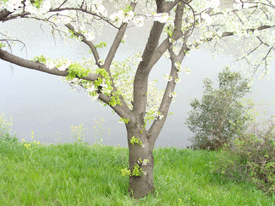 d0002224_21353557.gif