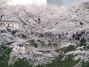 d0002224_21402019.gif