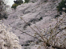 d0002224_2141130.gif