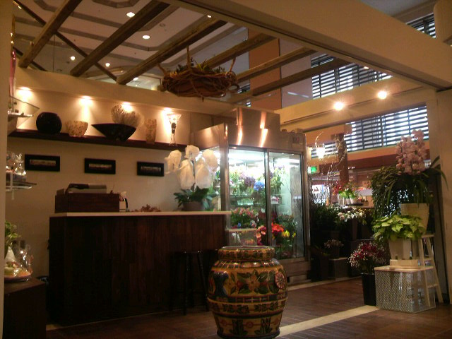 東急ハンズ江坂店花屋 Dots Members Blog
