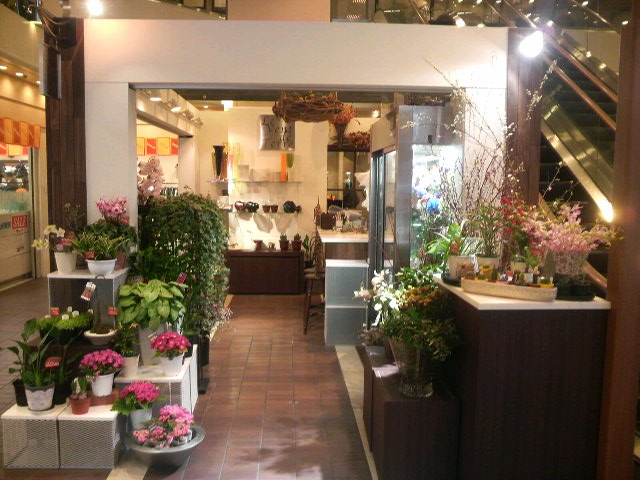 東急ハンズ江坂店花屋 Dots Members Blog