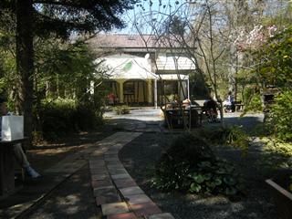 c0039428_1063614.jpg