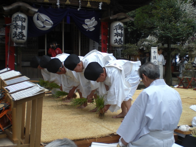 綾部八幡宮「お田植祭」_f0111128_2323243.jpg