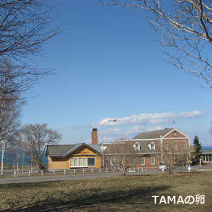 c0024729_20213879.jpg