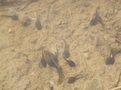c0167329_30239.jpg