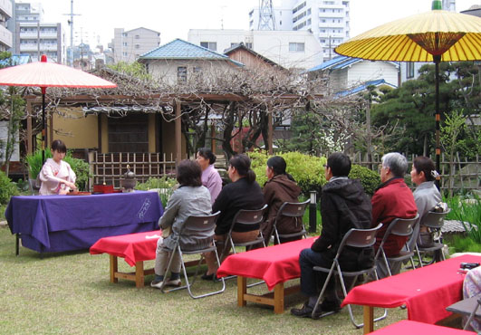 サクラのお花見茶会開催中_b0020130_13584653.jpg